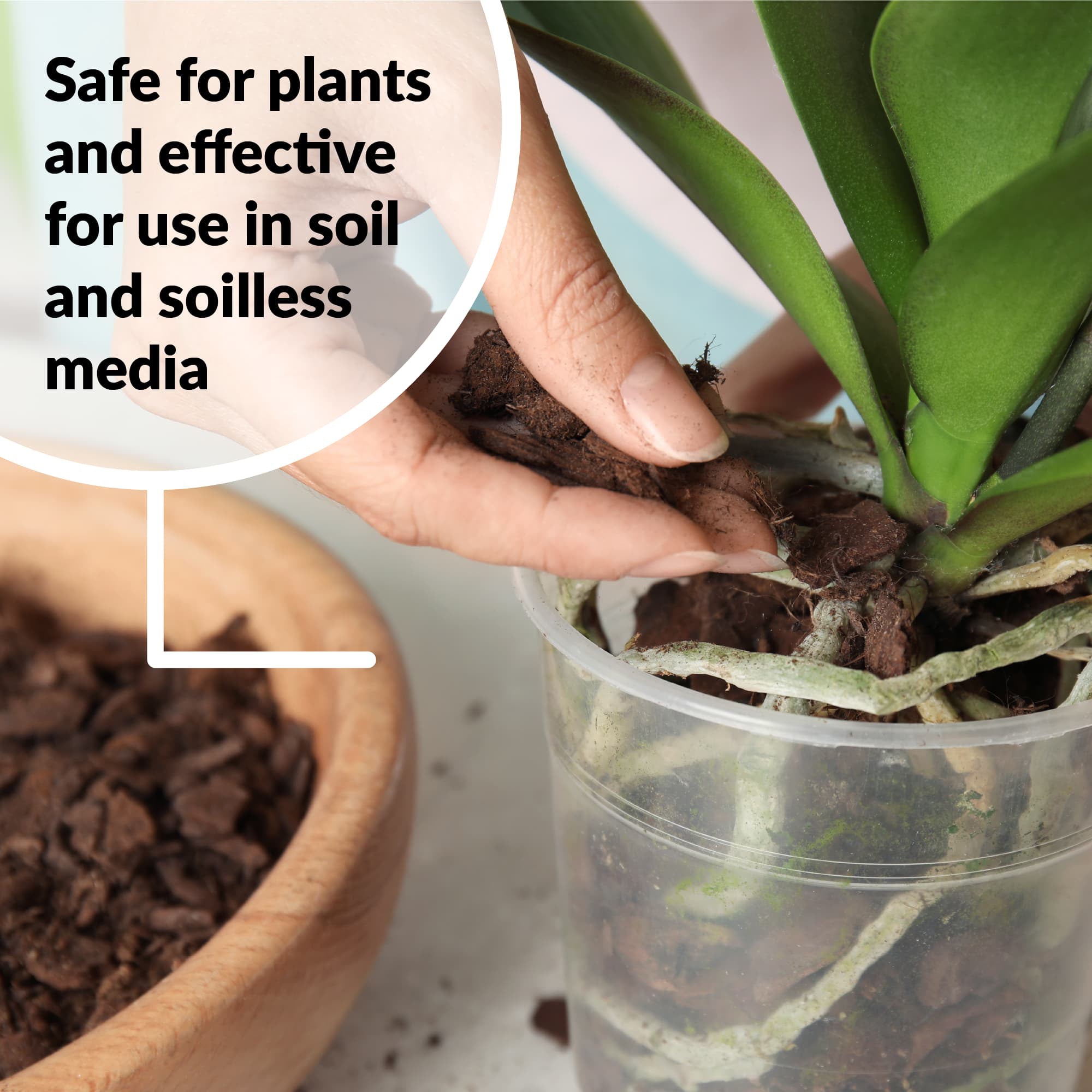 SUPERthrive Orchid-Pro 7-8-6 Plant Food